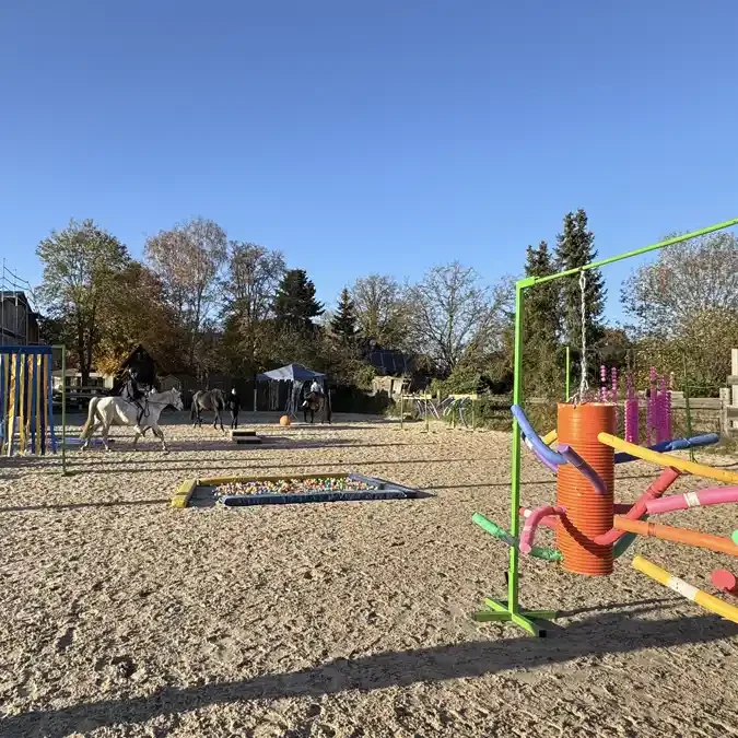 Reitplatz Gelassenheitstraining