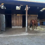 2 Ein- und Ausgänge