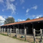 5 Paddockboxen nebeneinander