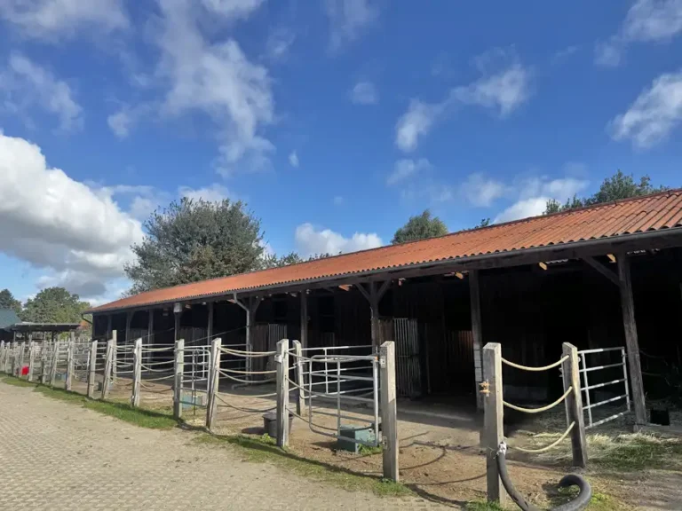 5 Paddockboxen nebeneinander