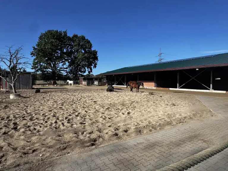 Auslauf mit Sand und Pflastersteinen