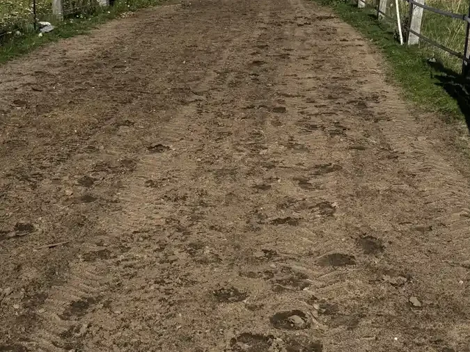 Galoppstrecke mit Sand