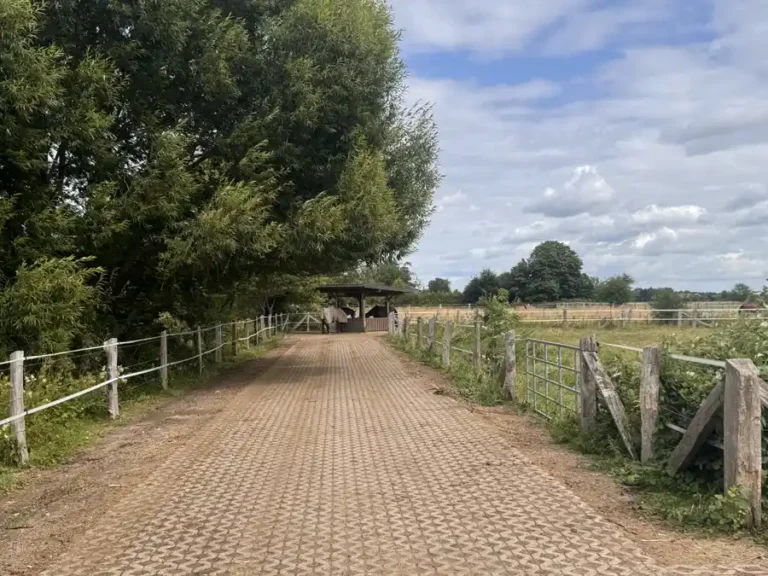 befestigter Trail zur Heuraufe