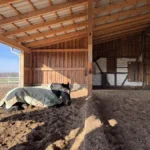 Liegehalle mit Sand und Grünkompost