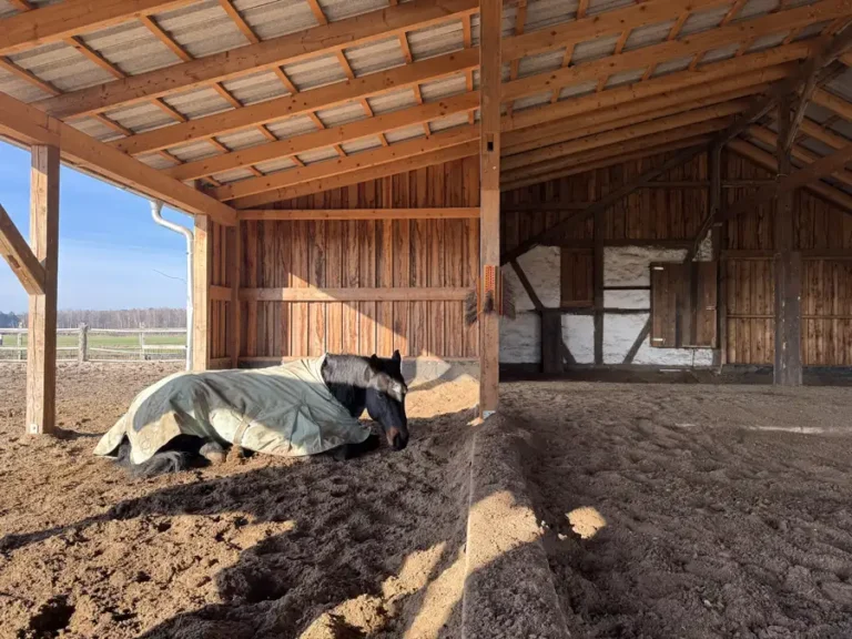 Liegehalle mit Sand und Grünkompost