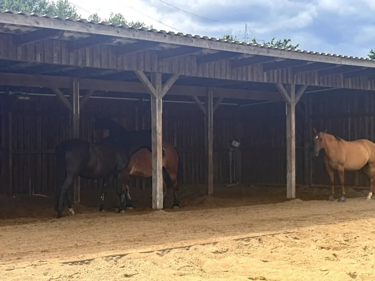 Unterstand mit reichlich Platz
