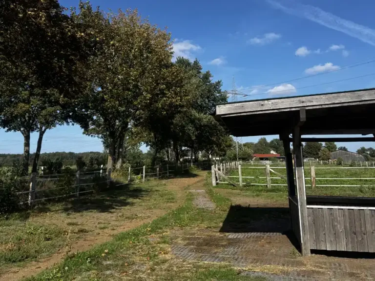 Schattiger Trail unter Bäumen