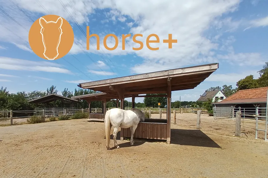 Anwendung App Horse Plus